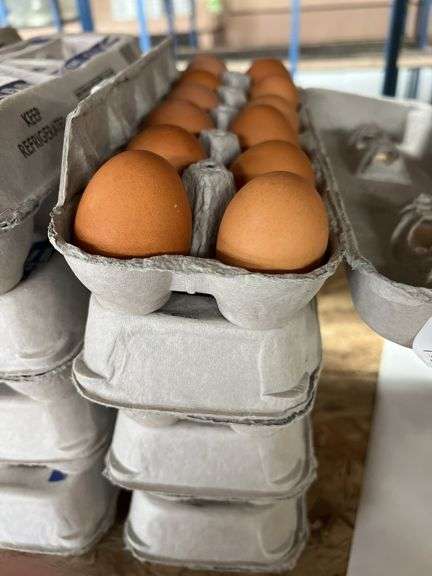 4 Doz Brown Eating Eggs