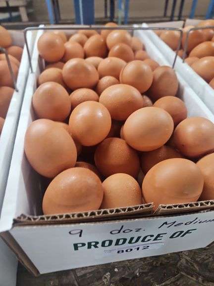 9 Doz Medium Brown Eating Eggs