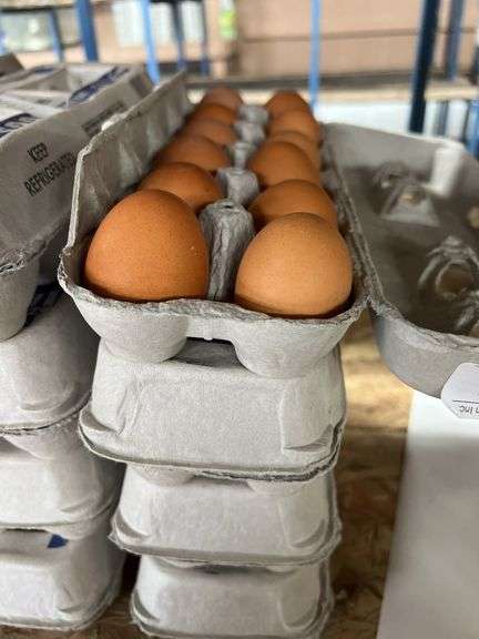 4 Doz Brown Eating Eggs