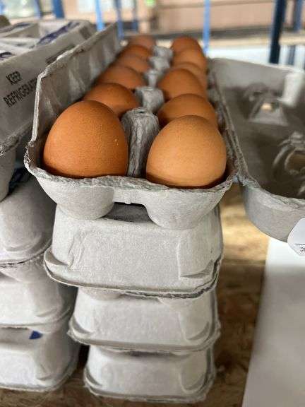 4 Doz Brown Eating Eggs