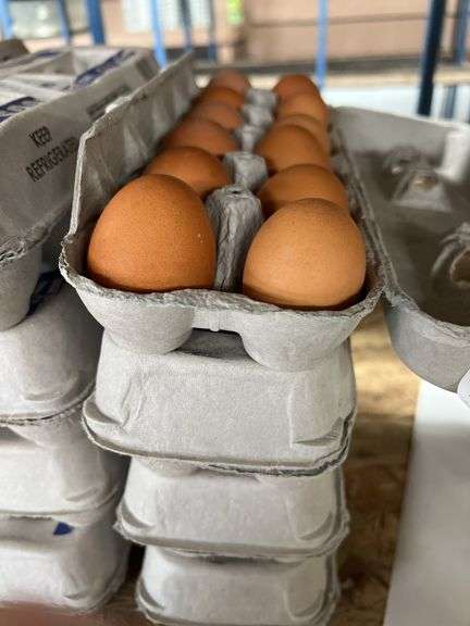 4 Doz Brown Eating Eggs