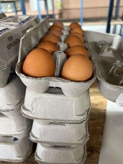 4 Doz Brown Eating Eggs
