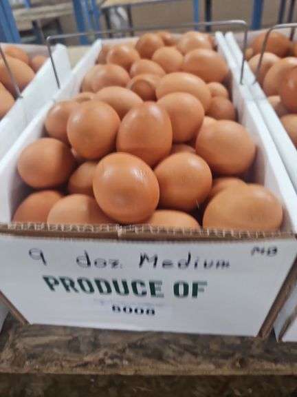 9 Doz Medium Brown Eating Eggs