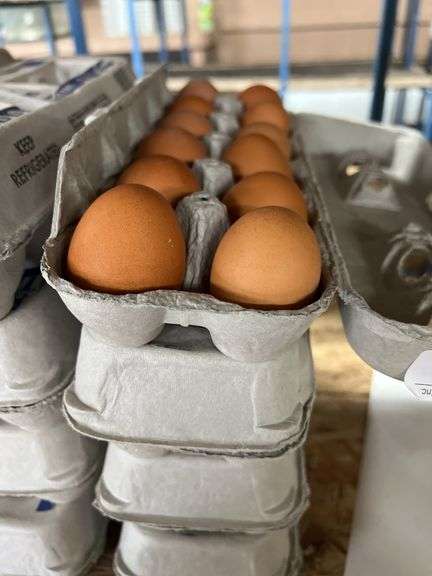 4 Doz Brown Eating Eggs