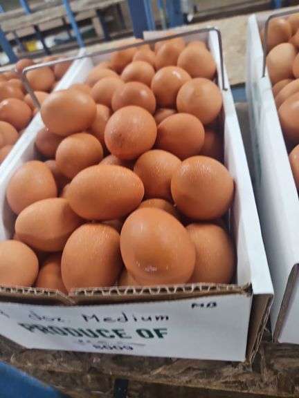 9 Doz Medium Brown Eating Eggs