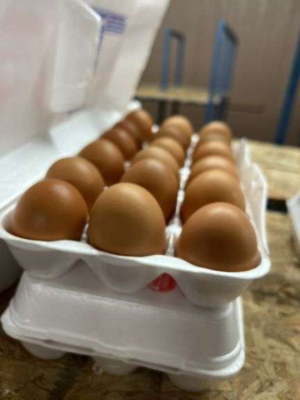 3 Doz Lg Brown Eating Eggs