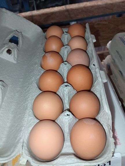 4 Doz Med Brown Eating Eggs