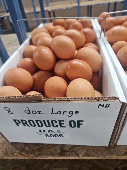 8 Doz Large Brown Eating Eggs