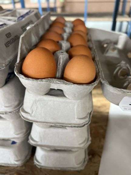4 Doz Brown Eating Eggs