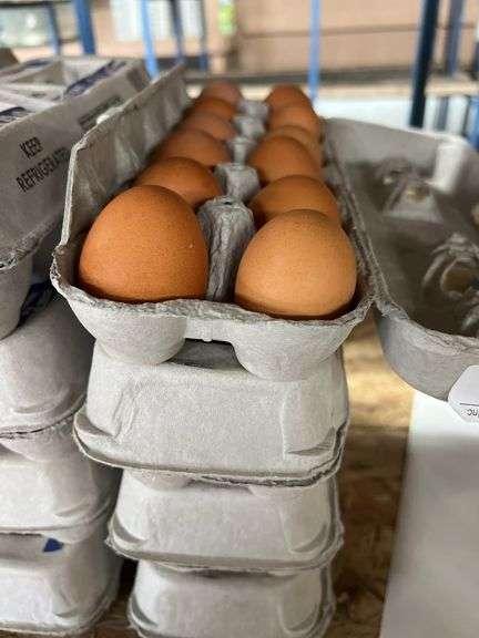4 Doz Brown Eating Eggs
