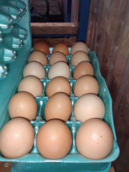 3 Doz Mixed Eating Eggs