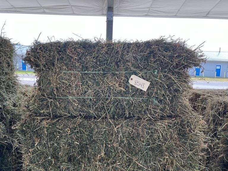 10 2nd Alfalfa