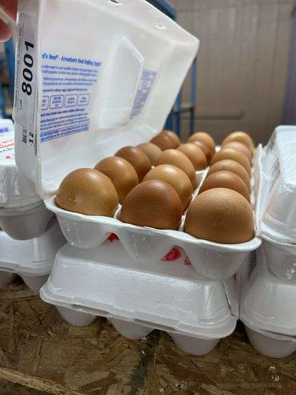6 Doz Lg Brown Eating Eggs