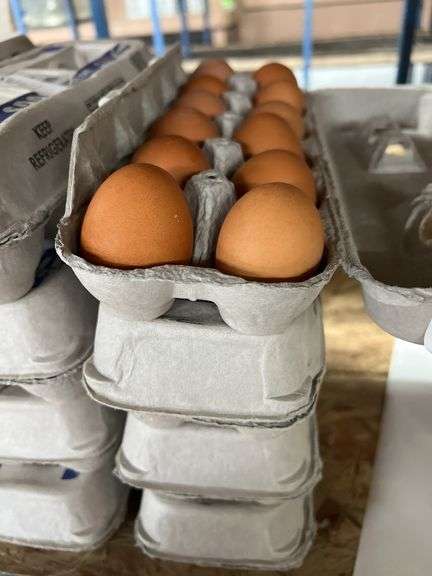 4 Doz Brown Eating Eggs