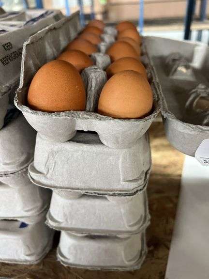 4 Doz Brown Eating Eggs