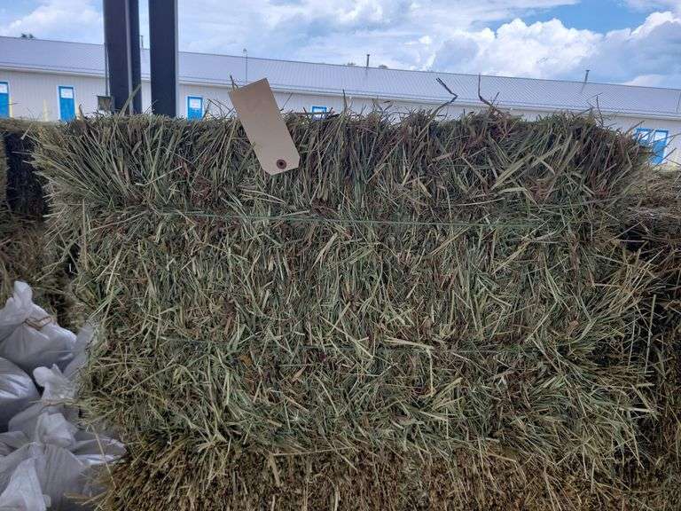 30 1st Orchard Timothy - Bales 6/8/24