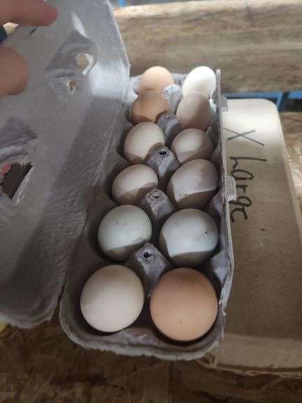 3 Doz Small/Medium Mixed Eating Eggs