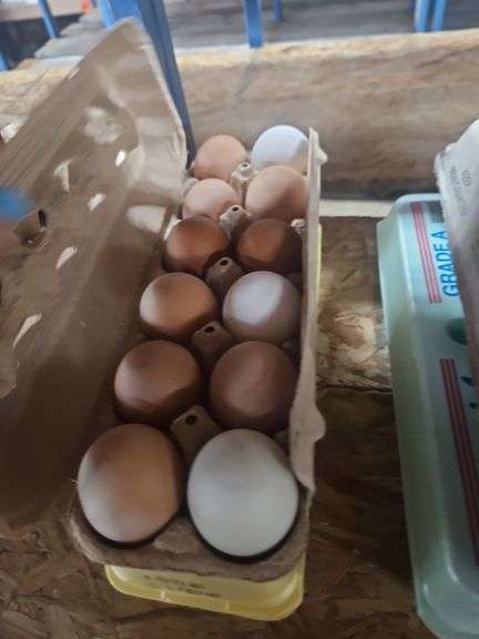 2 Doz Large Mixed Eating Eggs