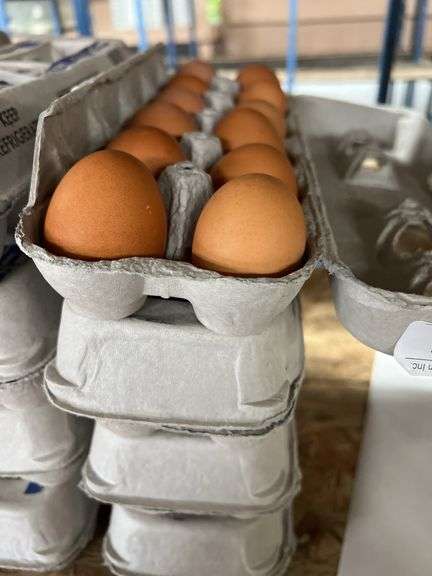 4 Doz Brown Eating Eggs
