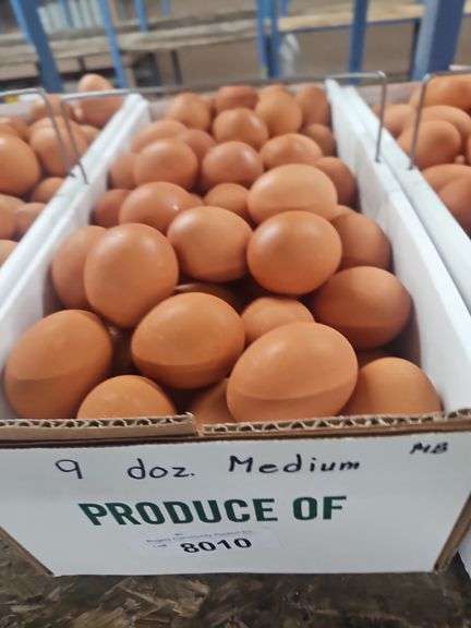 9 Doz Medium Brown Eating Eggs