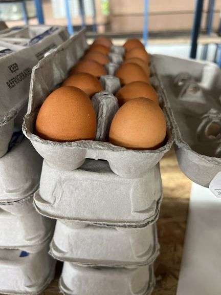 4 Doz Brown Eating Eggs