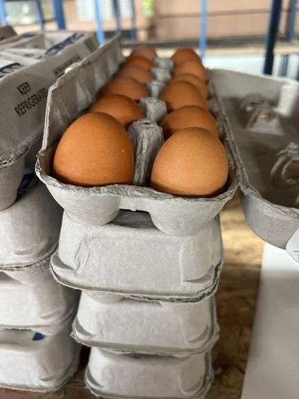 4 Doz Brown Eating Eggs