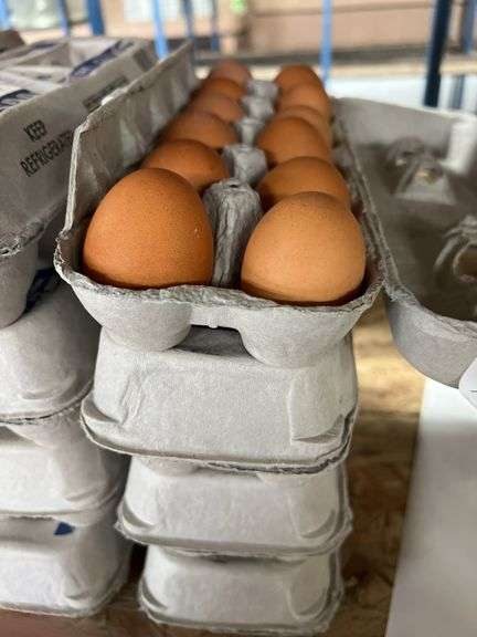 4 Doz Brown Eating Eggs