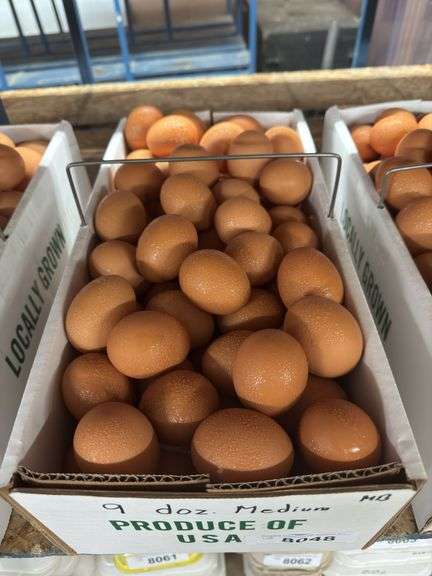 9 Doz Medium Brown Eating Eggs