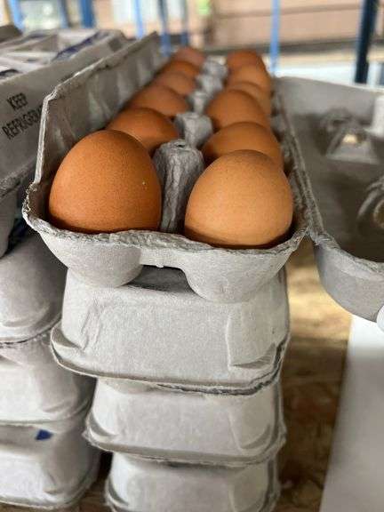 4 Doz Brown Eating Eggs