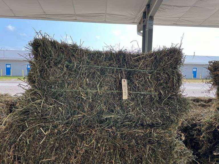 10 2nd Alfalfa