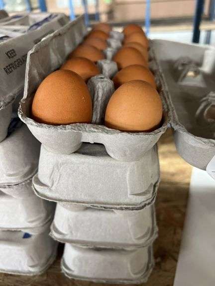 4 Doz Brown Eating Eggs