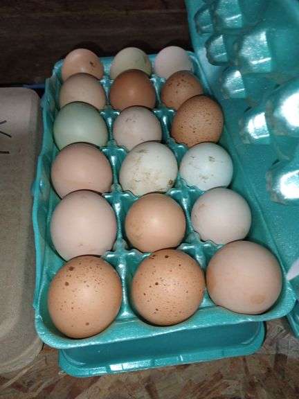 3 Doz Mixed Free Range Eating Eggs