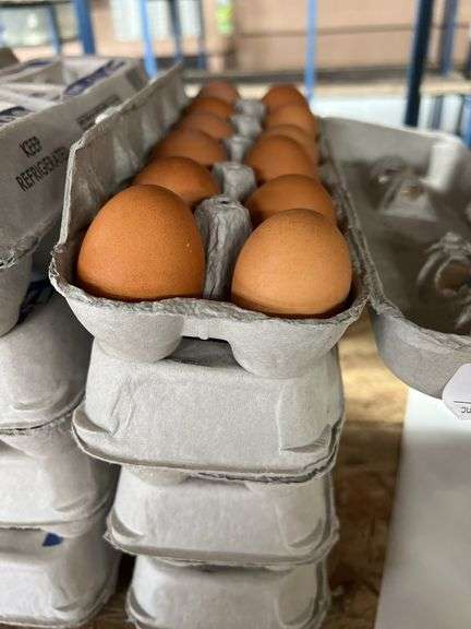 4 Doz Brown Eating Eggs