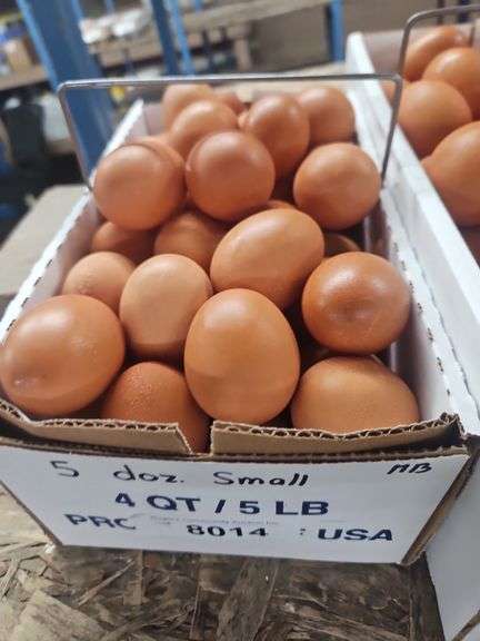 5 Doz Small Brown Eating Eggs