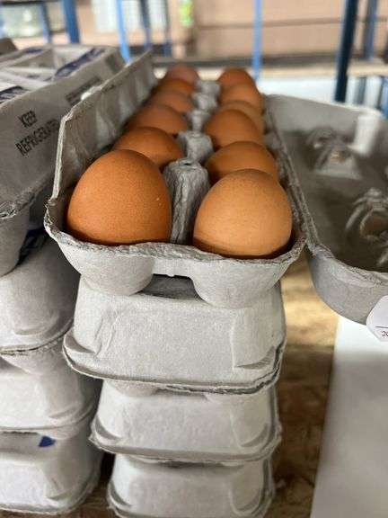 4 Doz Brown Eating Eggs