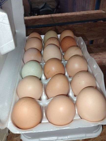 3 Doz Mixed Eating Eggs
