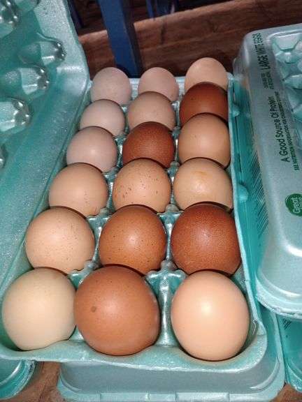 3 Doz Mixed Free Range Eating Eggs