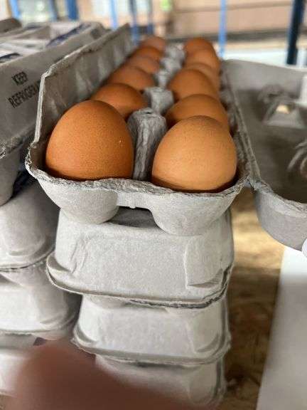 4 Doz Brown Eating Eggs