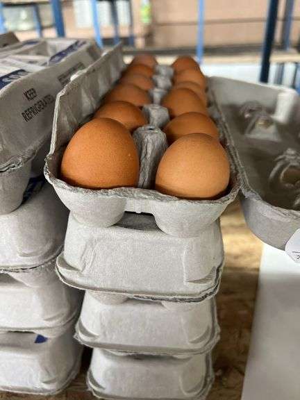 4 Doz Brown Eating Eggs