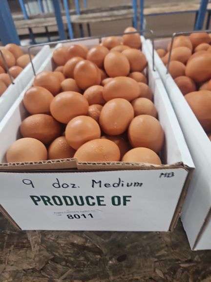 9 Doz Medium Brown Eating Eggs