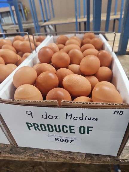 9 Doz Medium Brown Eating Eggs