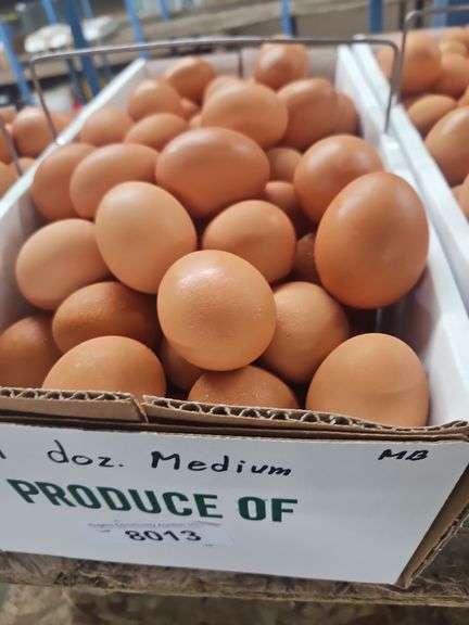 9 Doz Medium Brown Eating Eggs