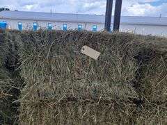 28 1st Orchard Timothy - Bales 6/8/24