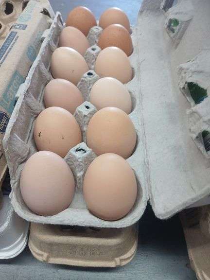 2 Doz Brown Eating Eggs