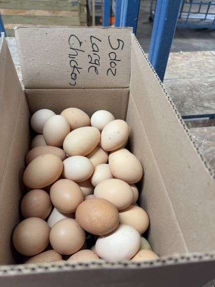 5 Doz Large Eating Eggs