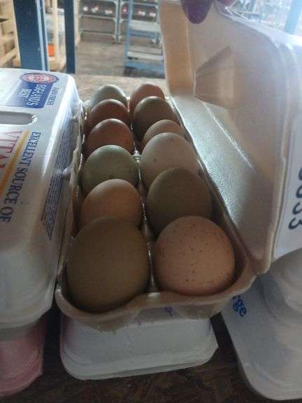 2 Doz Large Mixed Eating Eggs