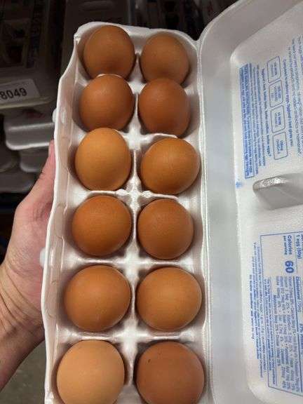 4 Doz Med Brown Eating Eggs