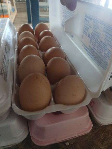 2 Doz Large Brown Eating Eggs