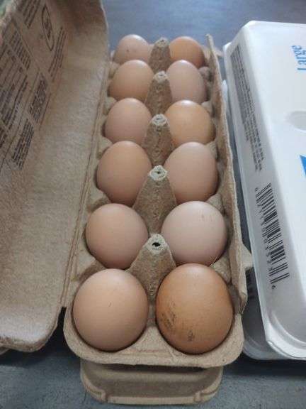 2 Doz Brown Eating Eggs