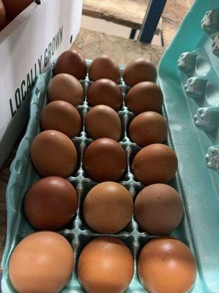 6 Doz Xl Brown Eating Eggs